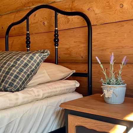 Kasepuu Holiday House Uulu Ngoại thất bức ảnh